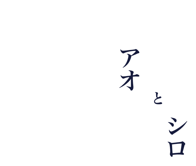 陶芸家　鈴木圭太「アオとシロ」